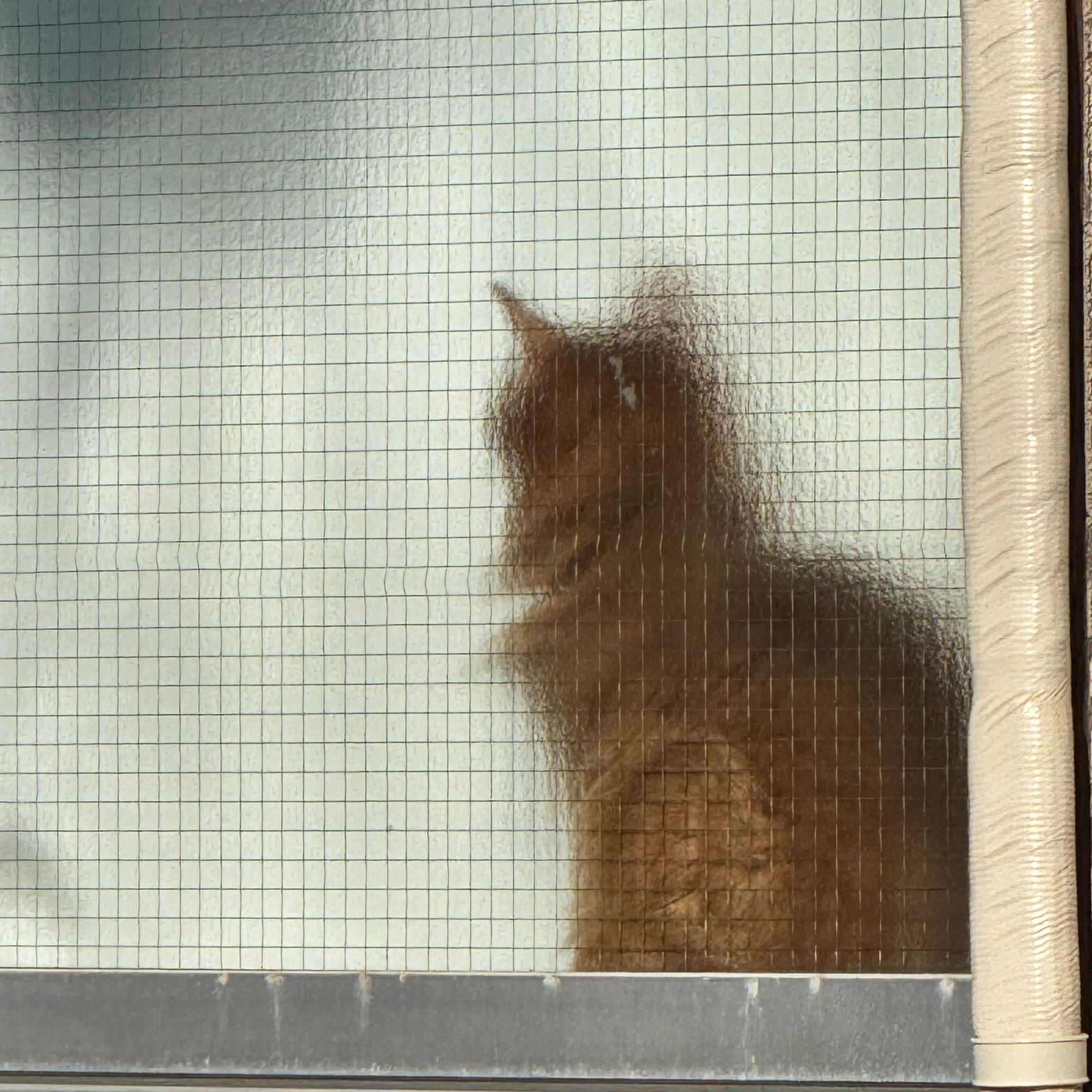 This is How It Starts